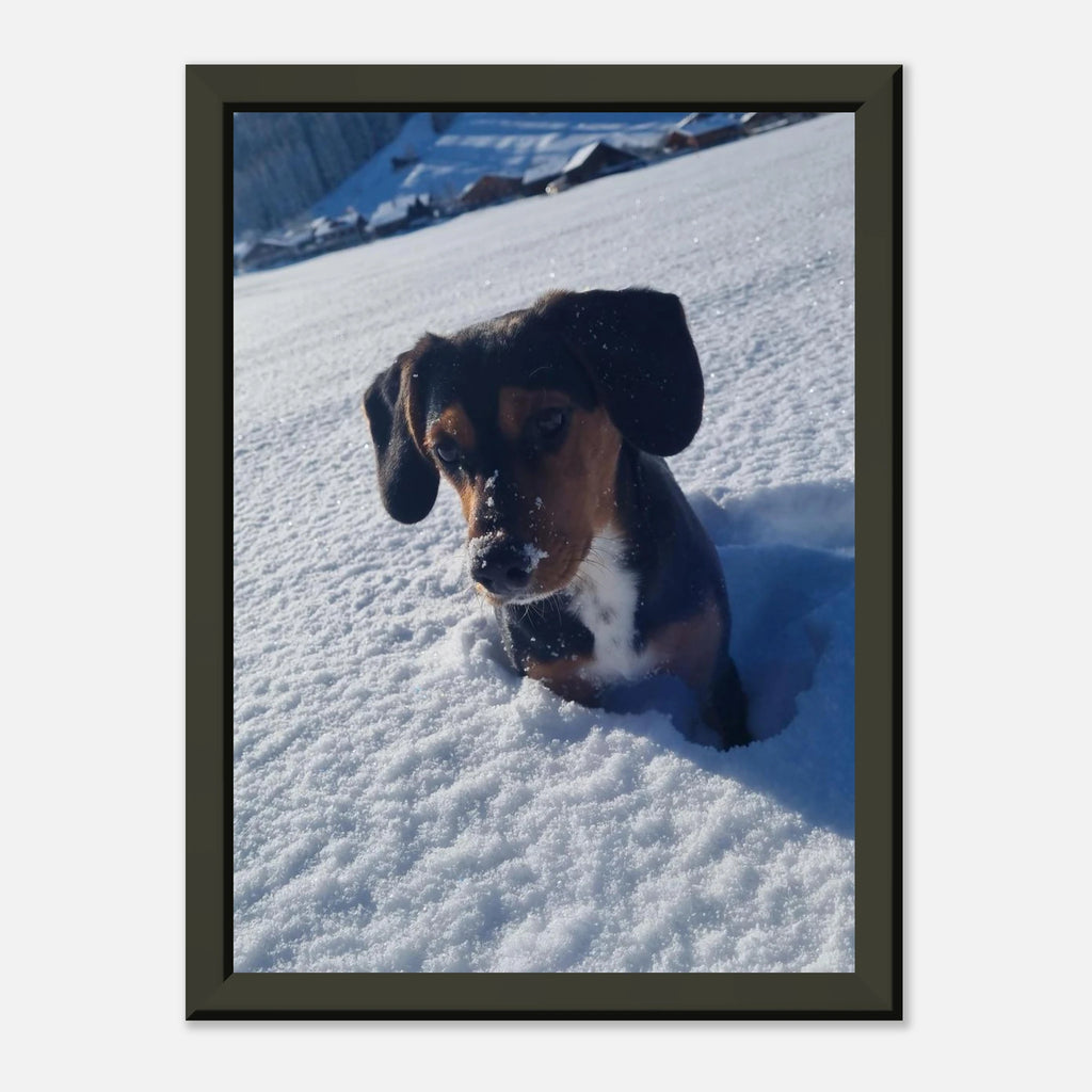 b6581db7-453b-48b6-b63e-25245da2503e