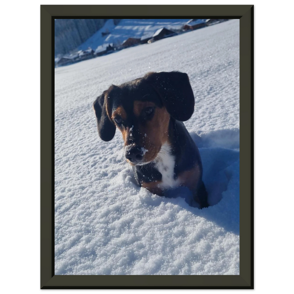 ca92b237-3386-45ef-9d41-c047a2f677d2